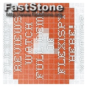 Can Flexispy Be Installed Remotely